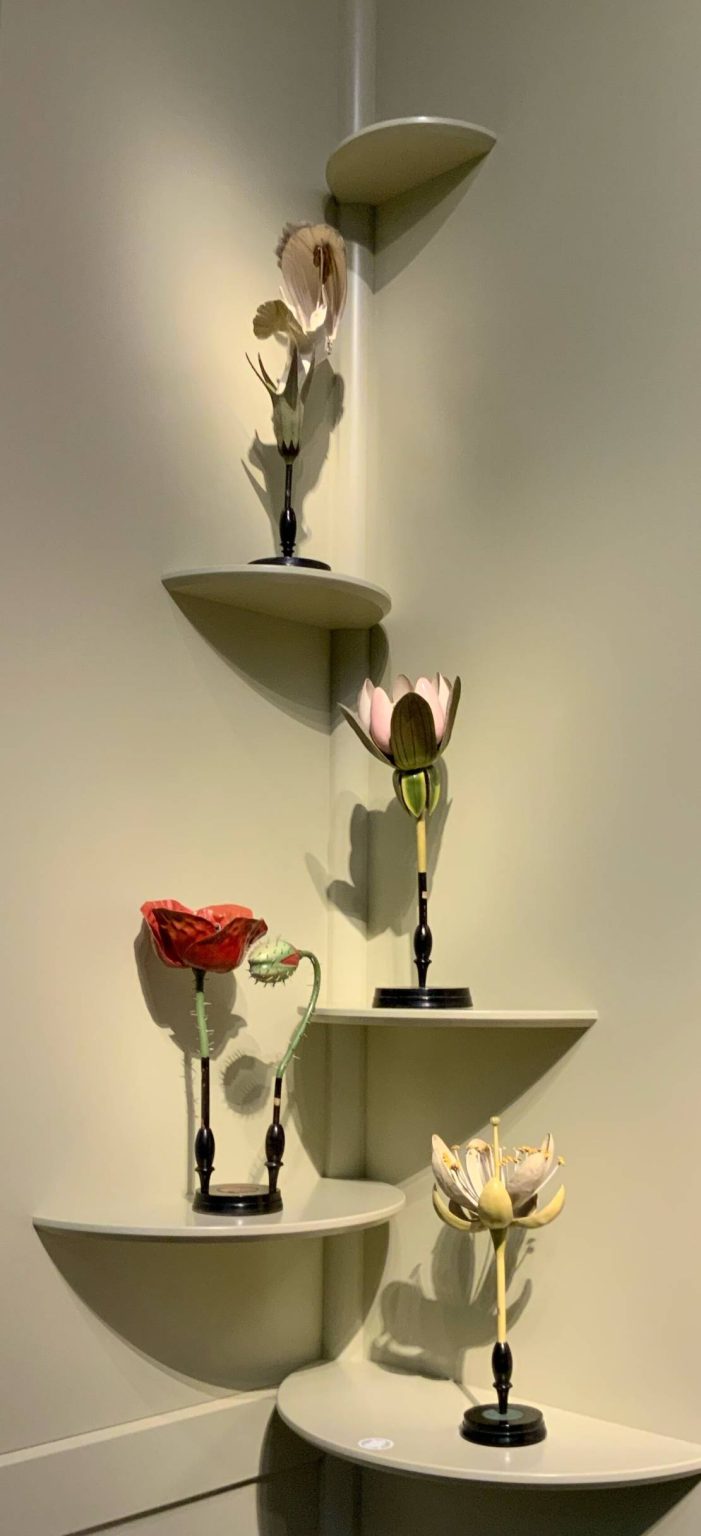 blumeneck2
